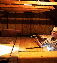 attic inspection crawl space