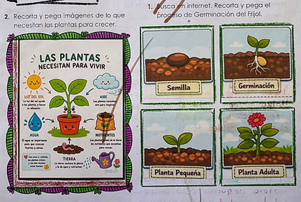 Registro de Observación (2).jpeg