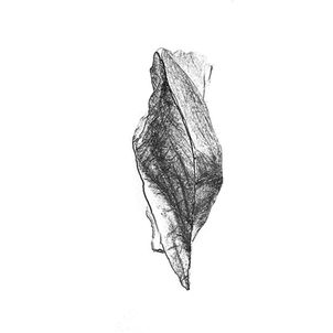 Fig. 2. gr. 1/2. - silex, Camille, (Nancy). "SILEX biface Camille Aubert, l'Arbre à pages, relieure, Nancy", COLLECTION CARRÉS 379 ©portraits d’artisan(e)s et d’artistes, photographies, peintures, dessin, sculptures, installations, art contemporain, de Corinne Costa Erard