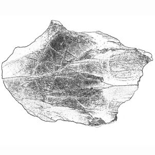 Fig. 1. gr. 1_2. - silex, " SILEX biface Frédéric Renard, Pisciculteur, Sexey aux Forges", COLLECTION CARRÉS 379 ©portraits d’artisan(e)s et d’artistes, photographies, peintures, dessin, sculptures, installations, art contemporain, de Corinne Costa Erard