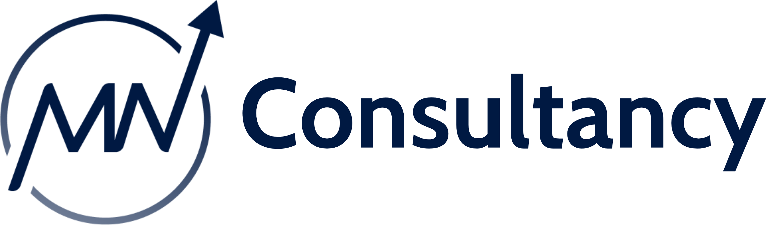 MNConsultancy_Full_Darkdarkblue_PNG.png