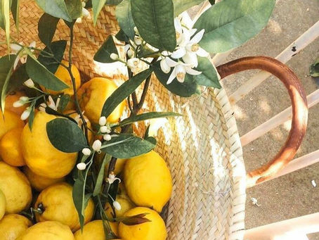 Gastronomía Sostenible en Turismo