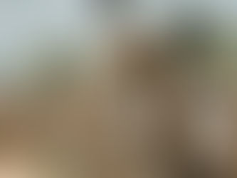 Turismo Sostenible y ODS