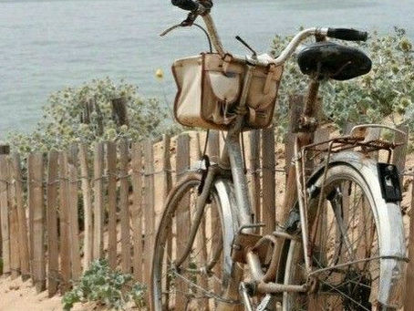 Turismo Sostenible y ODS