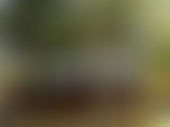 La Honoria: Un legado rural