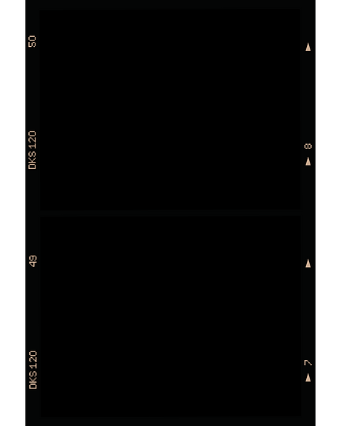 polaroidwebsite (1).png