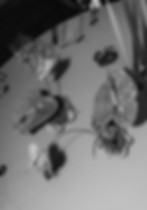 Fox Flora Luxury Wedding Flowers Denton Reserve