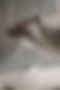 pexels-cottonbro-4659798_edited_edited.jpg