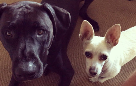 Road to C.I.M - 12 Weeks till Race Day