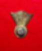 Insignia