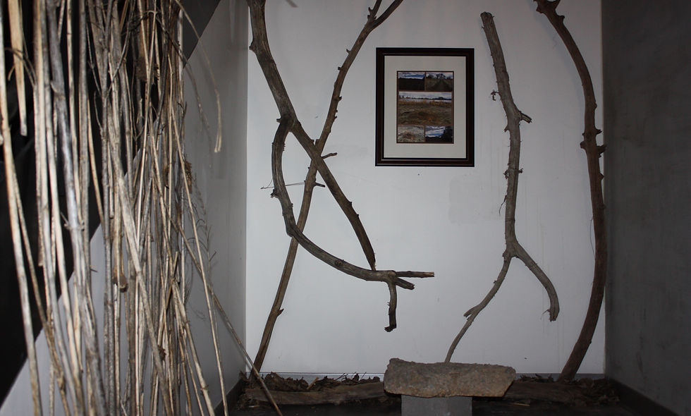 connor hesen invasive land art environmental artist