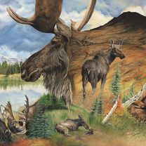 watercolor - colored pencil - gouache