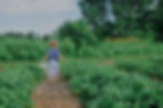 Permaculture
