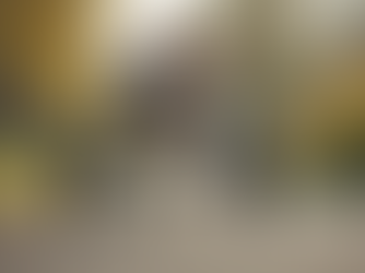 Choosing the Right Mobility Aids for Senior Dogs