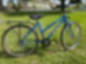 IMG_5431.jpeg