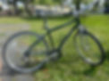 IMG_5428.jpeg