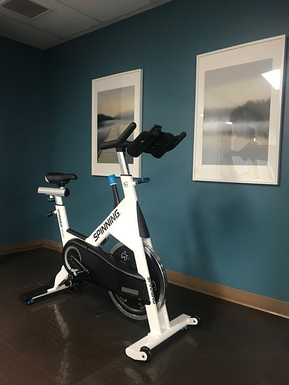 Wish exercise bike cheap
