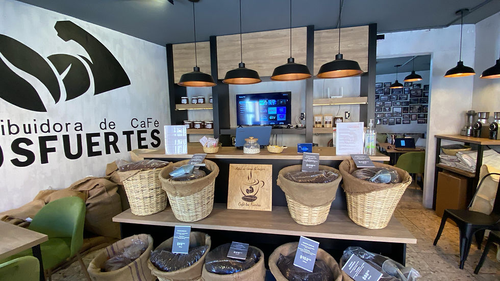 WhatsApp Image 2025-08-19 at 10.56.02.jpeg