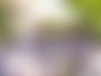 A Season of Growth: Celebrating Progress and Welcoming New Scholars