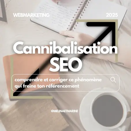 Cannibalisation SEO : comprendre et corriger ce phénomène qui freine ton référencement