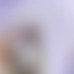 Consultant SEO freelance Paris