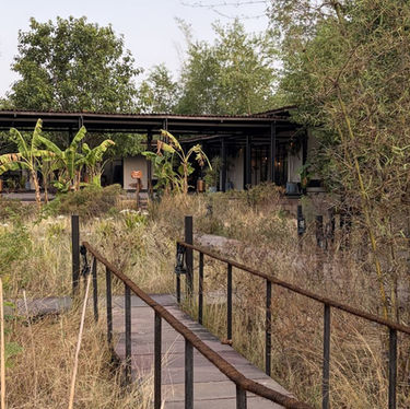 I Stayed at Bori Safari Lodge: A Wildlife Escape in India With No TVs, Patchy Wi-Fi and Incredible Safaris