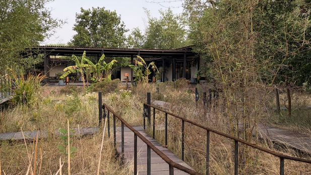 I Stayed at Bori Safari Lodge: A Wildlife Escape in India With No TVs, Patchy Wi-Fi and Incredible Safaris