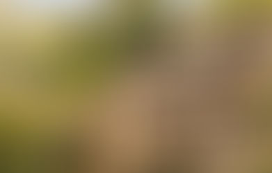 Amaraya by Araiya Anthology Is A Quaint Luxury Boutique Stay Just 7-hours From Delhi 