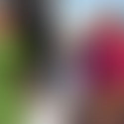 Ladies Who Lunch, The Vintage-Inspired Fashion Trend Is Making a Chic Comeback