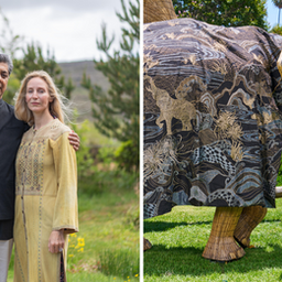 Wrapped in History, Vikram Goyal's Ode To His Love For The Elephant Family