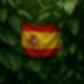 86a4d5c6-2e70-4e7c-945c-7a3cfbba908d.png