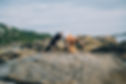 IMG_9907.jpeg