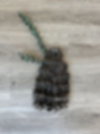 Grace Grey hair extensions