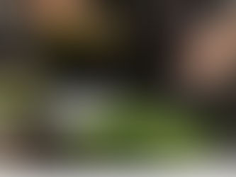 The Truth About Cooking Oils: Which Ones Heal & Which Ones Harm