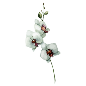 White Flowers