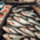 fresh fish.jpg