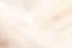 10246986.jpg