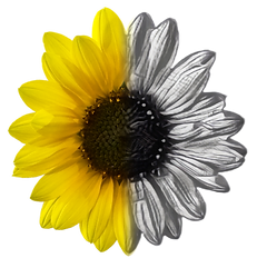 CapituLab Logo v2_half.png