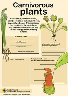shape shifting plants-jrmadscientist.tif
