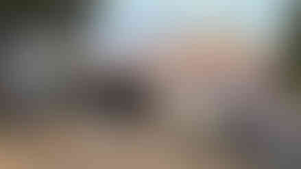 Grand Canyon Road Trip