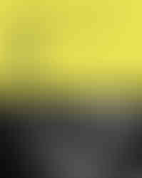 Into Wright’s Taliesin: Stories of Life, Design, and the Growth of Apprentices