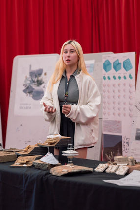 Taliesin West pin-up