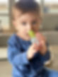 D0C1E038-1136-407C-808D-531BA93E749A.jpeg