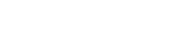brilliant logo white.png