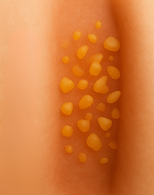 Untitled design - 2025-12-13T120311.283.png