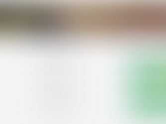 ロブロックスの仮想カジノ問題:連邦判事、過失請求の進行を許可