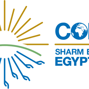 COP27 AND COP15: THROUGH A LOCAL ACTION LENS