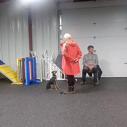 Attention, The mother of all behaviours