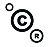 Corporate Risks logo