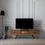 Thumbnail: TV Unit-4